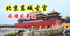 骚女被操视频中国北京-东城古宫旅游风景区